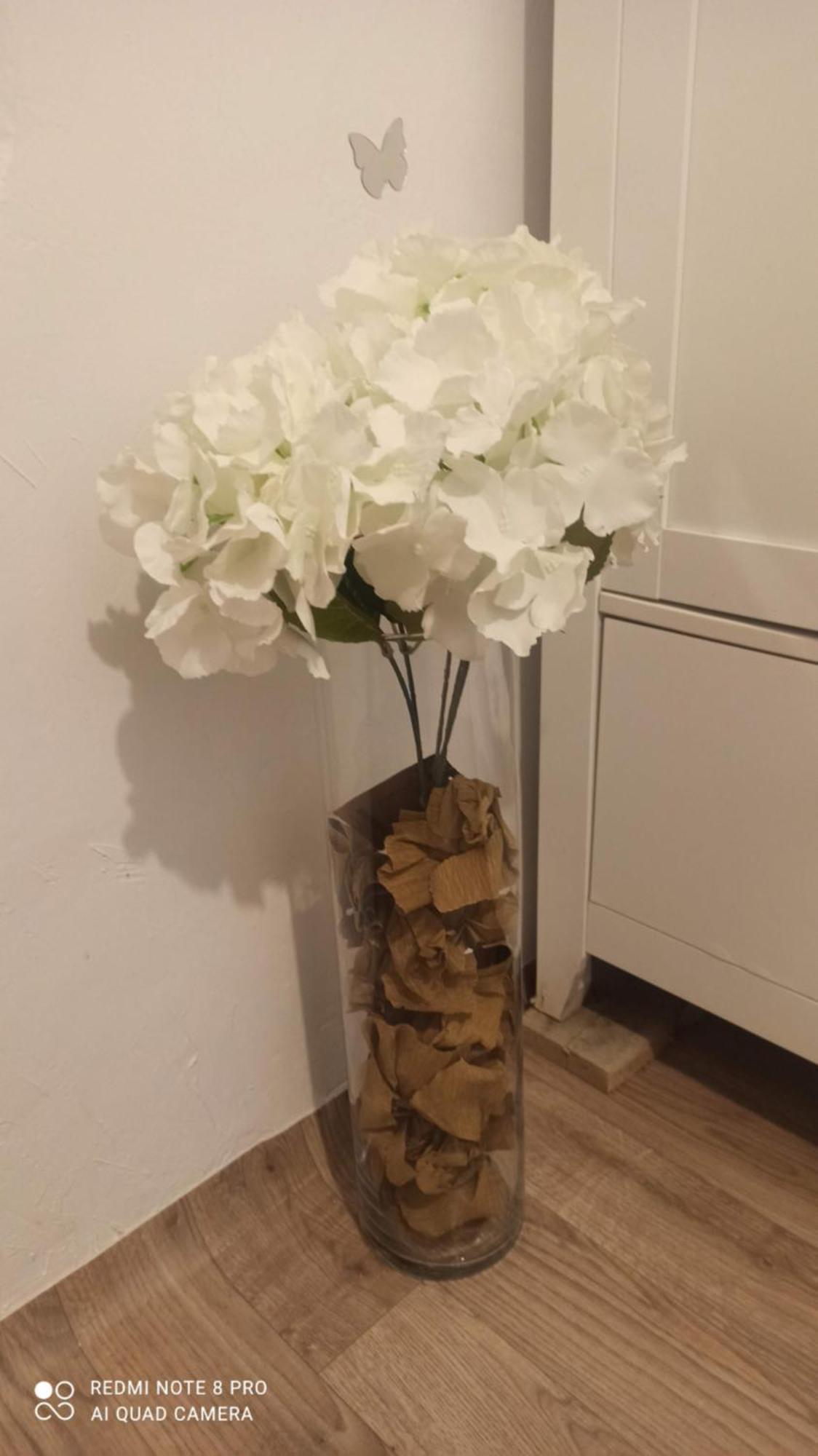 Studio Pe Somes Cluj-Napoca Exteriör bild